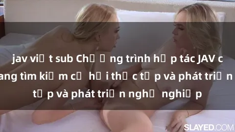 jav việt sub Chương trình hợp tác JAV cho sinh viên đang tìm kiếm cơ hội thực tập và phát triển nghề nghiệp